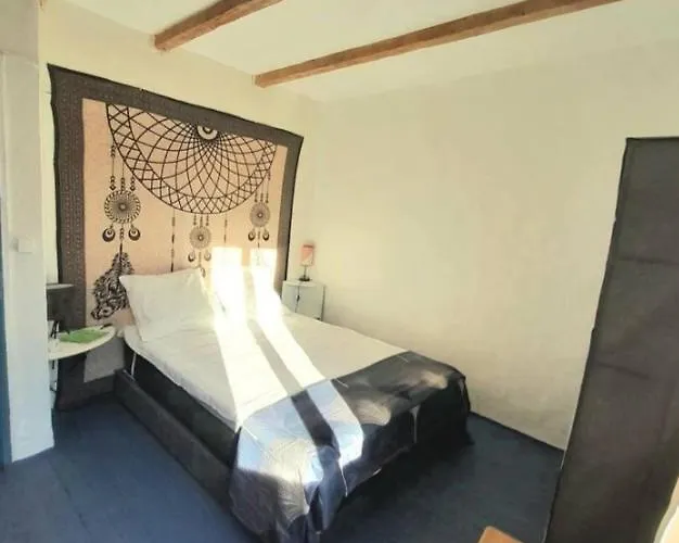 Maison rustique au pied de la Montagne Noire Hébergement de vacances *